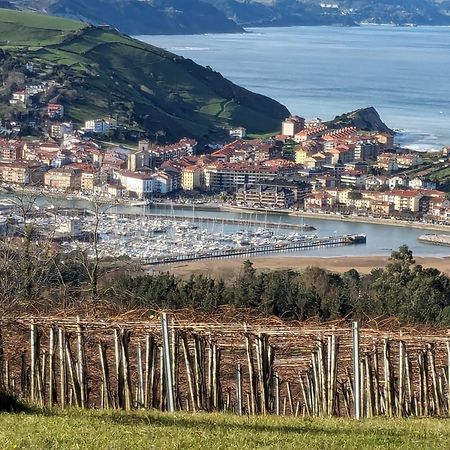 Ferienwohnung Zumaia Basque Alai Exterior foto