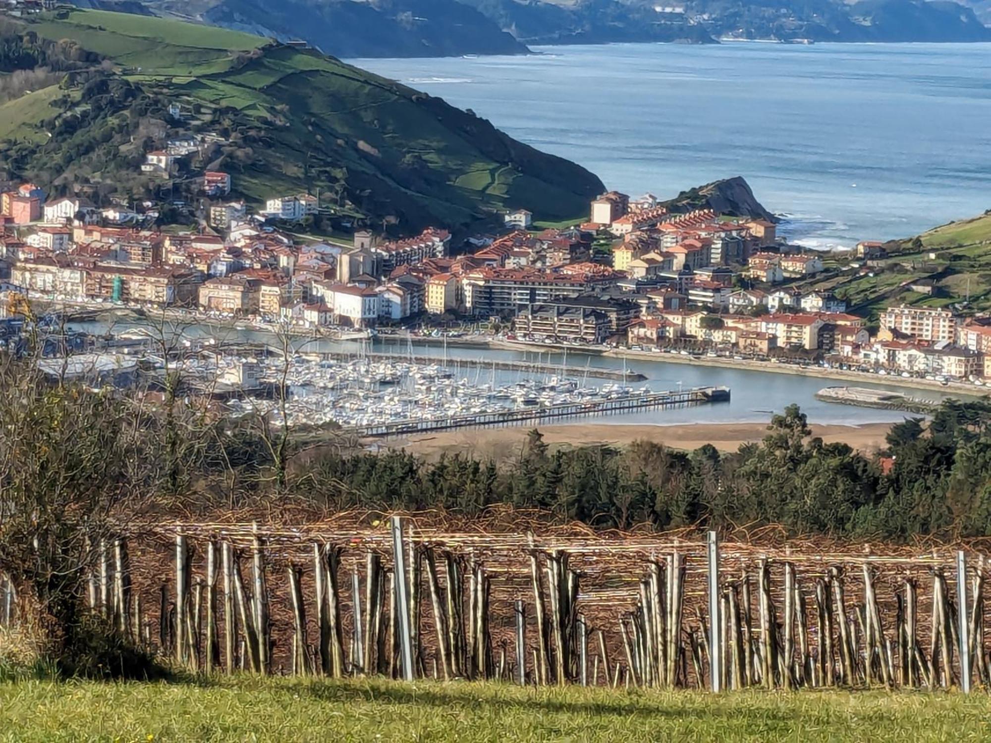 Ferienwohnung Zumaia Basque Alai Exterior foto